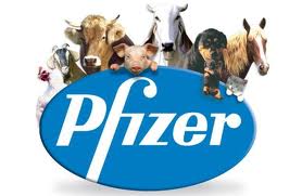 14.12.2012* Pfizer pode abrir capital da unidade de saúde animal em 2013