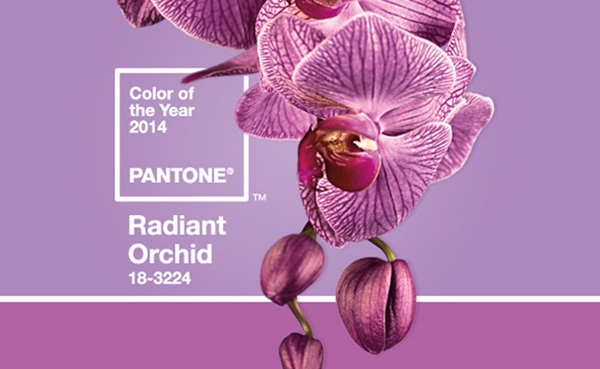 13.12.2013* Pantone elege Orquídea Radiante para cor de 2014