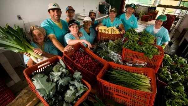 02.02.2017* Mercado de orgânicos cresce 20% em 2016, com faturamento de R$ 3 bilhões