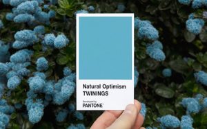 03.05.2017* Chá Twinings cria nova cor Pantone para combater pessimismo