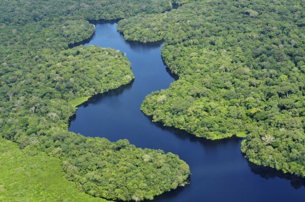 14.12.2017* Brasil fabricará medicamentos a partir da biodiversidade do país