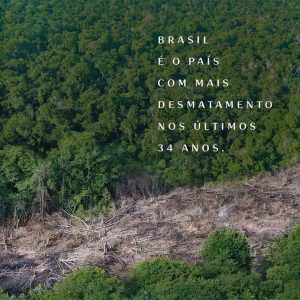 Natura afirma que na Amazônia é possível produzir sem desmatar