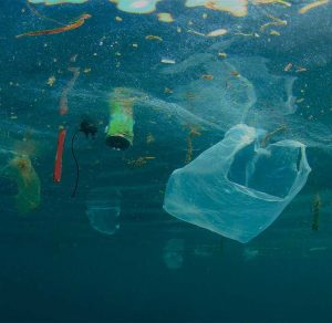 “A indústria vai ficar sem plástico reciclado”, Julien Tremblin, TerraCycle