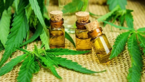 Mercado de cannabis medicinal atrai executivos do canal farma