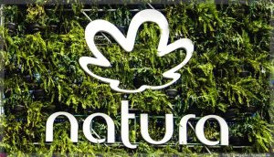 Conheça Natura Ekos Home Capitiu: Saboneteira Líquida e Difusor de Ambientes