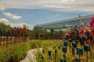 Natura lança espaço e reforça posicionamento: Casa de Perfumaria do Brasil