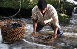 Natura, Grupo Boticário e Avon estão entre as empresas mais responsáveis em ESG do Brasil