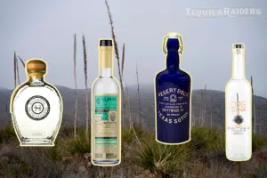 Conheça o Sotol, “primo” da tequila que é promessa da indústria para 2023