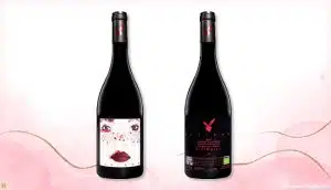 Chega ao Brasil vinho tinto italiano produzido pela vinícola Inserrata