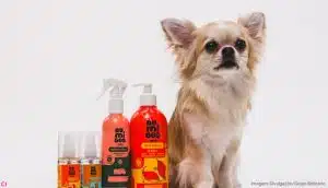 Au.Migos Pets, marca do Grupo Boticário, chega em mais de 4 mil lojas