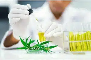 GreenCare visa criar primeiro medicamento de extrato de cannabis