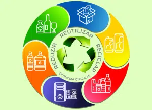 A importância das cooperativas de reciclagem para a economia circular e o crescimento socioeconômico