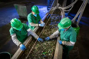 Vidro é um dos itens menos reciclados no Brasil