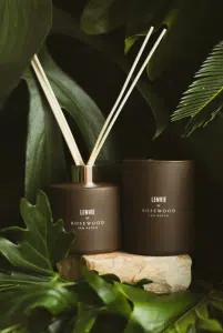 Lenvie e Rosewood São Paulo lançam fragrância “Floresta Noturna”